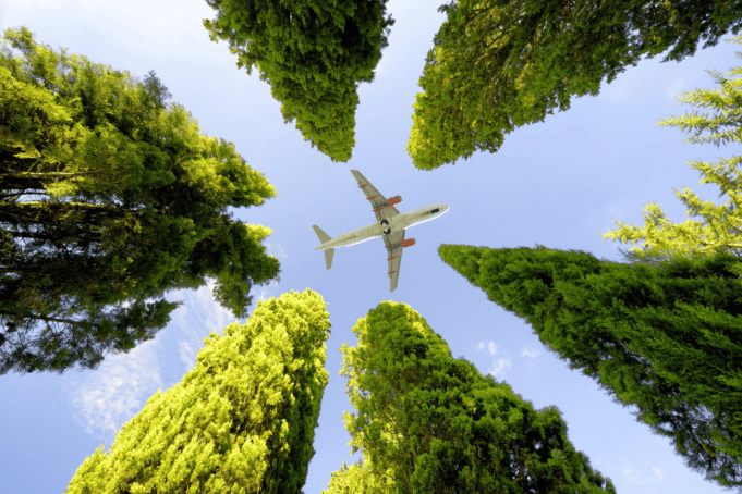 A plane flying over trees