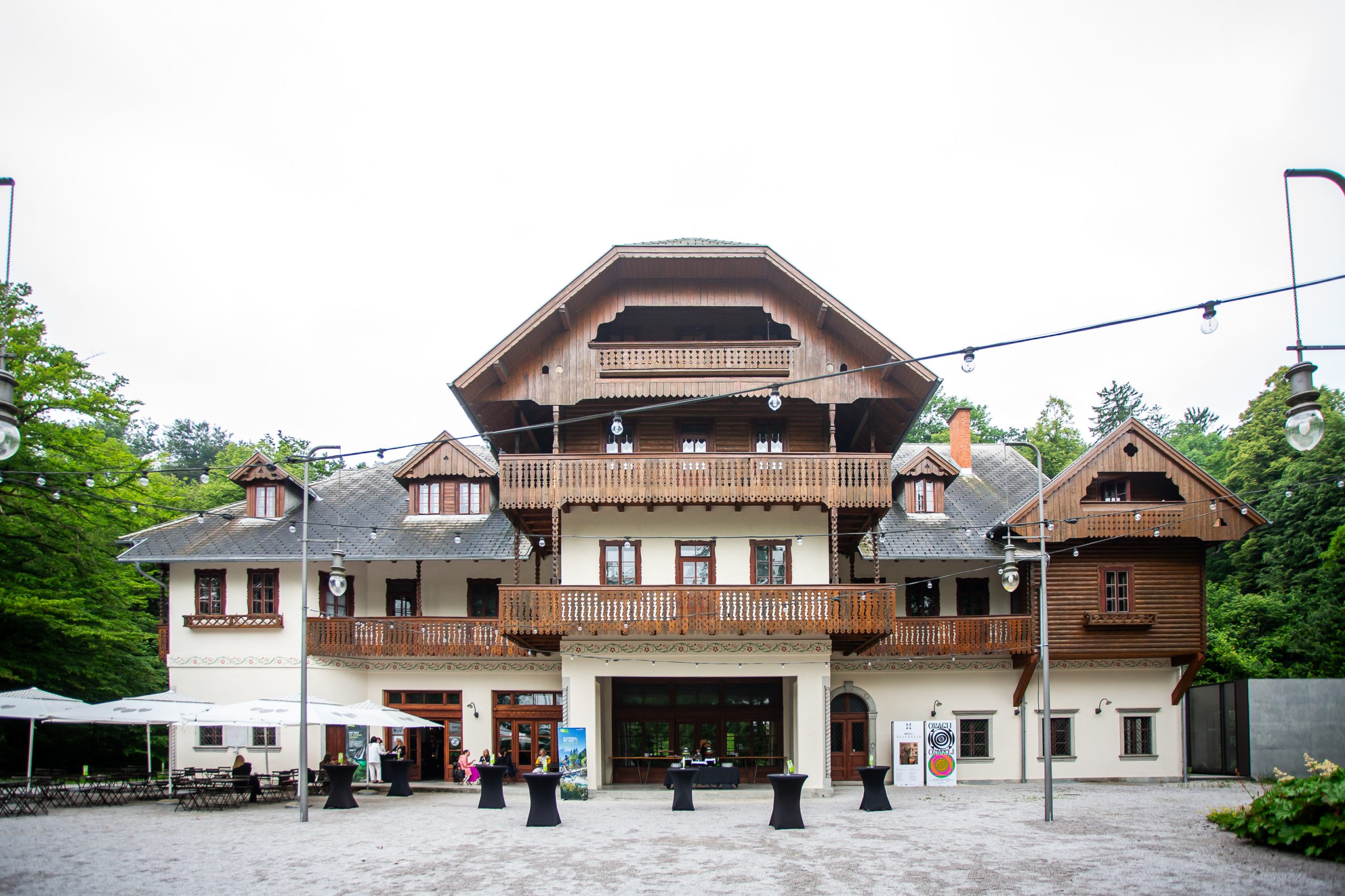 Katarina Vita Dolinar